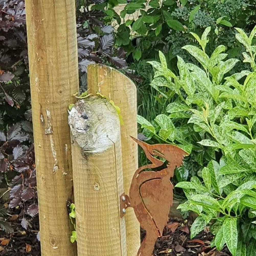 Rusty Metal Bird Silhouettes Garden Fence Decor Woodpecker Robin Steel
