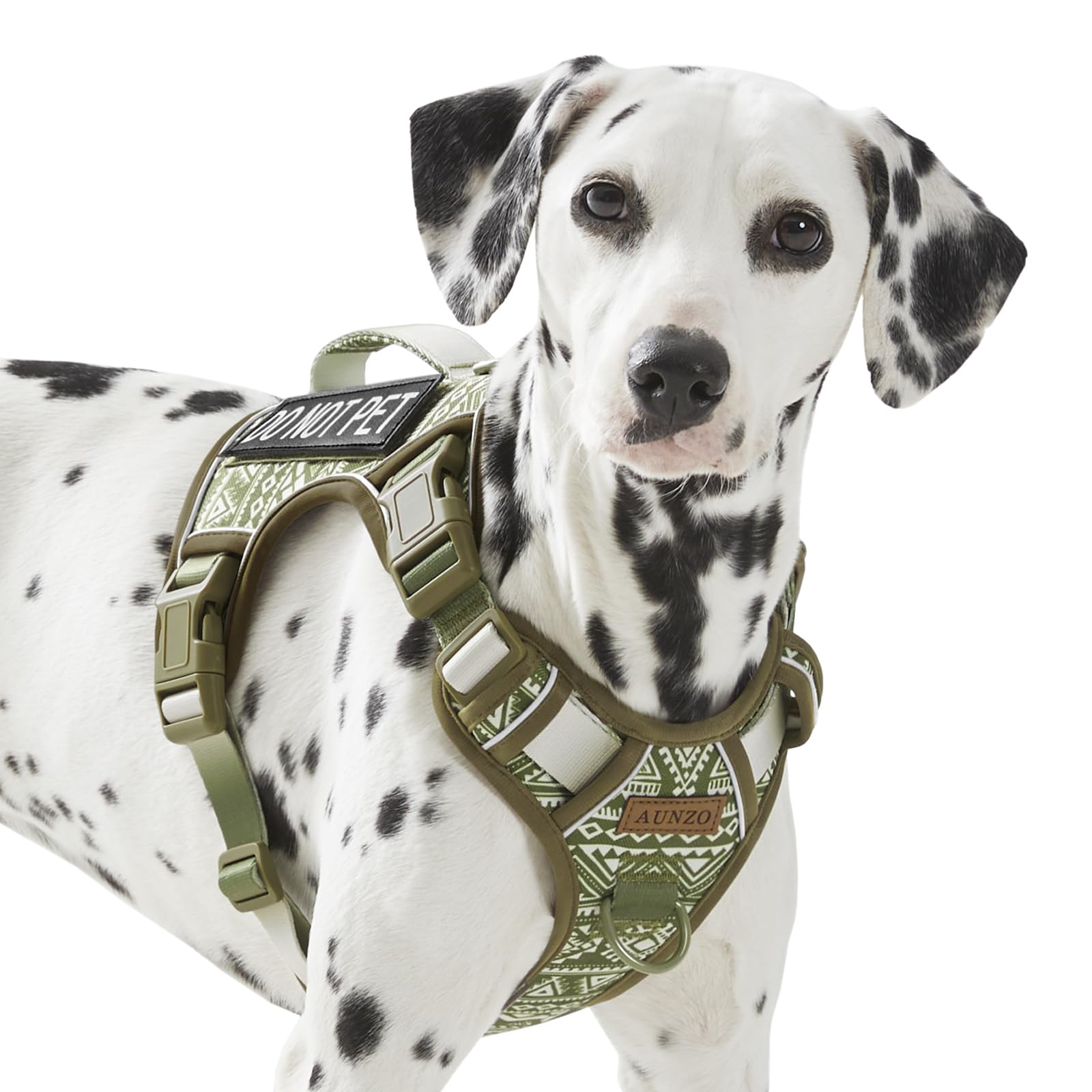 AUNZO Service Dog Vest Harness with 2 Velcro Patches, No Pull Dog Harness for Walking Training Hiking, Metal D-Rings Easy on/Off Neck Buckle Reflective Strips Soft Padded Handle, Green