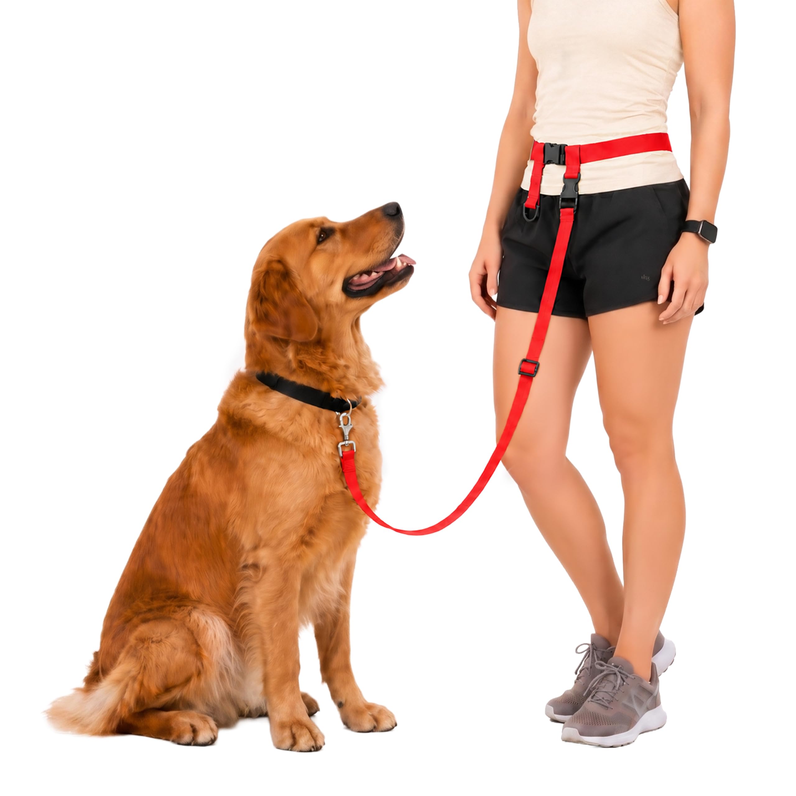 The Buddy System Made in USA Laisse réglable mains libres, idéale pour la course, système de chien standard, taille XL, rouge The Buddy System