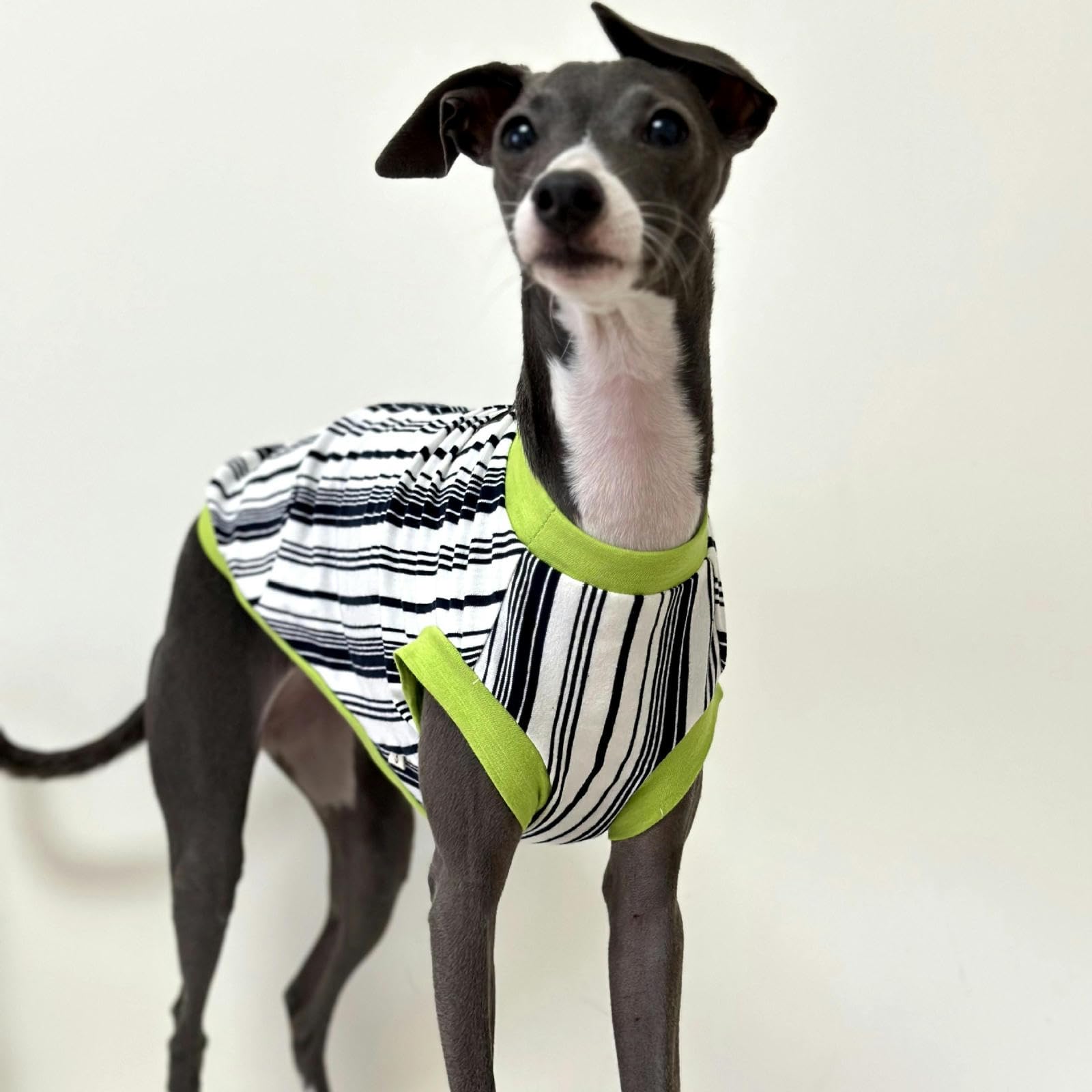 Camisas para Perros, Camisetas a Rayas de algodón, Chaleco Fresco de Galgo Italiano de Verano, Ropa Suave y Transpirable para Cachorros para Perros pequeños, medianos y Grandes