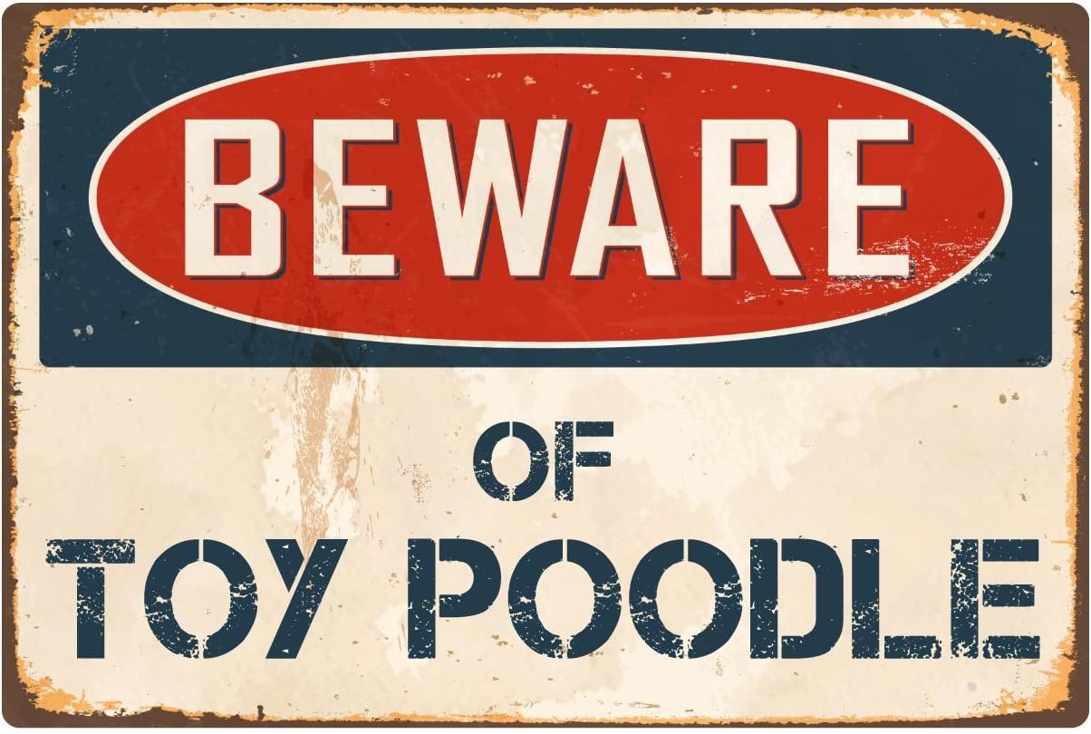 Beware de Toy Poodle 8″ x 12″ aluminio Retro clásico Metal Sign vs420