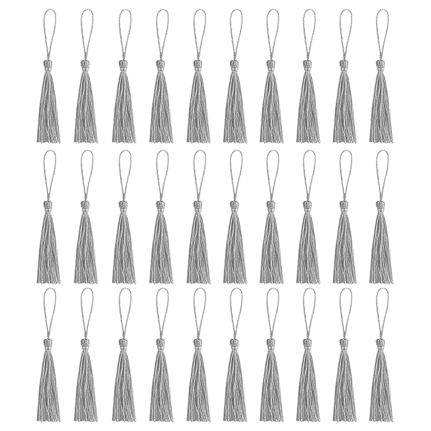 Amdonalo 30 PCS Bookmark Tassels, Mini Tassels Silky Tassels for Bookmarks Handmade Bookmark Tassels for Resin DIY Craft Supplies and Home Decor (Silverwhite)