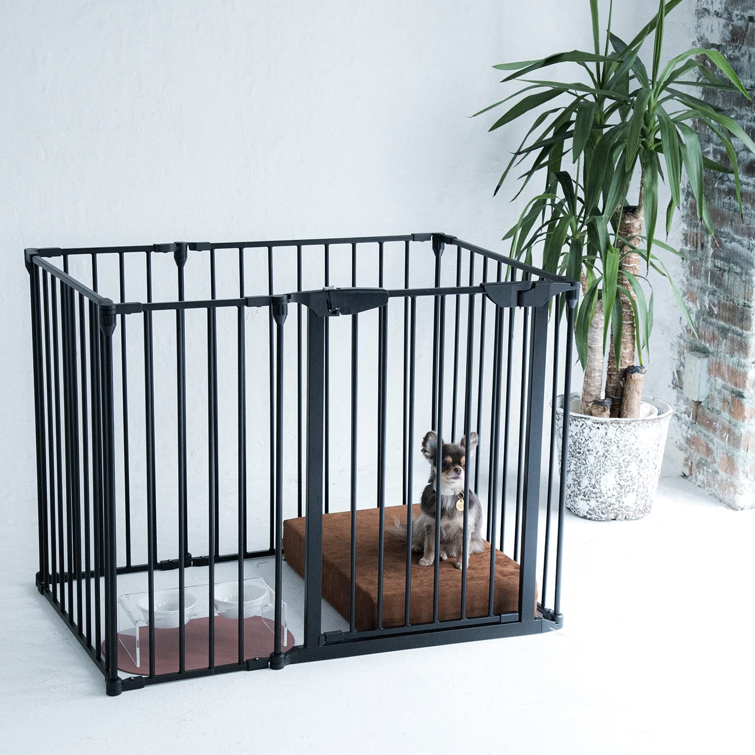 Amazon | [citydog/シティドッグ] シンプルモダンケージ ミニ ｜ 犬