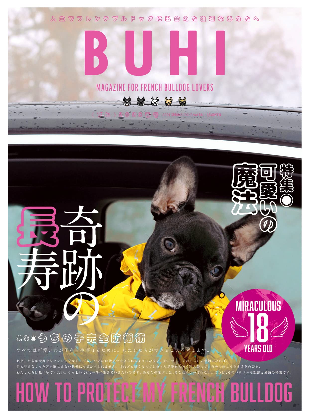 BUHI 雑誌　vol.1〜65 フレンチブルドッグ BUHI 雑誌 vol.1〜65 フレンチブルドッグ