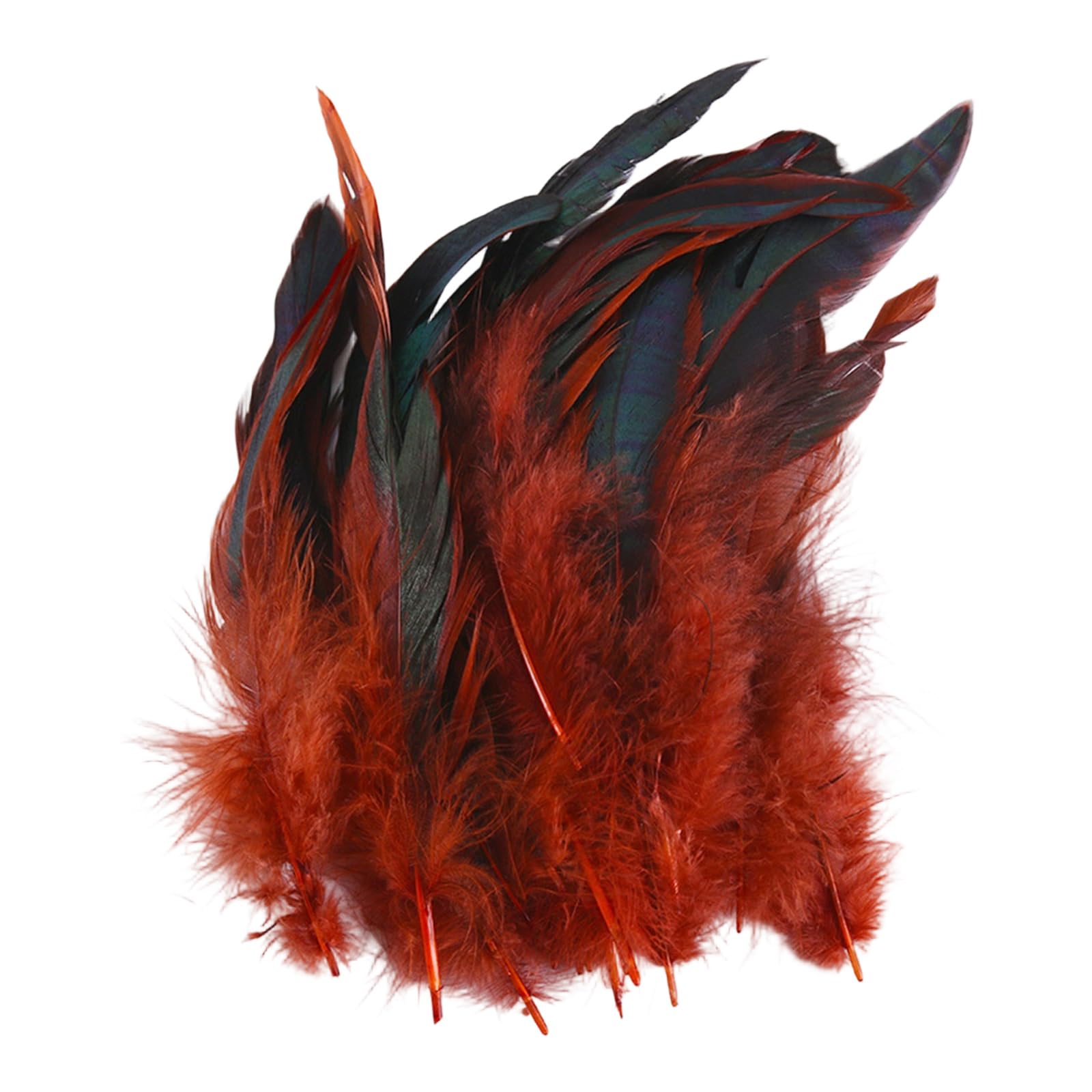 yanzunlrn 100PCS Delicate Plumage Embellishments for Creative Art Projects Suitable for Clothing Jewelry and Scrapbooking Quills for Crafting