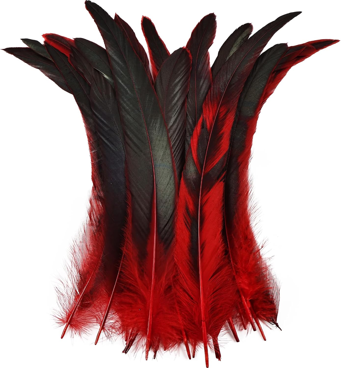 Colorful Rooster Tail Feathers-50PC 10-12inch Natural Long Rooster Tail Feathers Bulk (red)