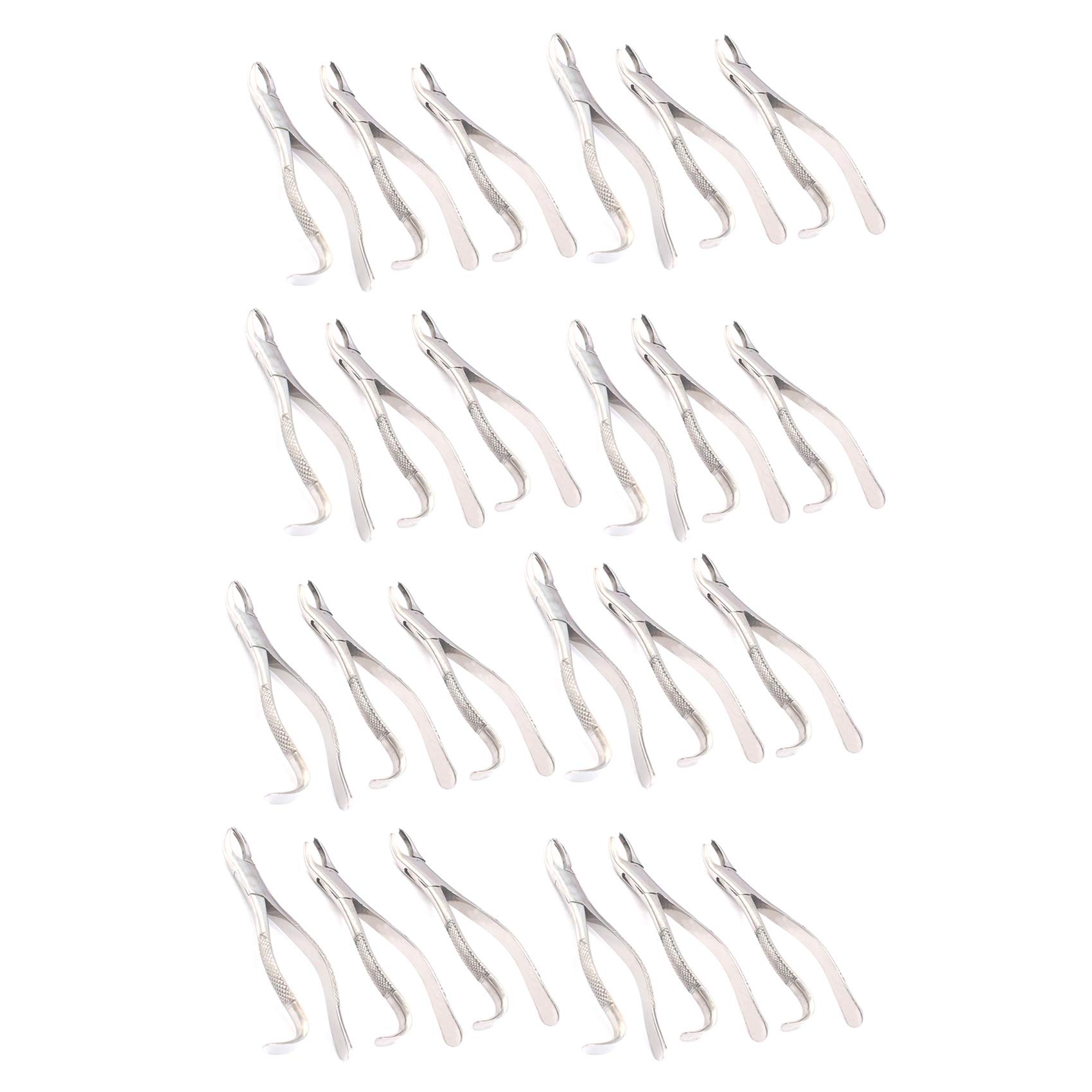 OdontoMed2011 Set Of 24 Dental Extracting Forceps 18L Dental Extraction Instruments ODM