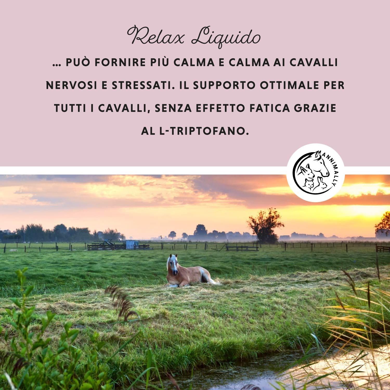 Relax Liquid per cavalli 1000ml, succo calmante per cavalli con valeriana, luppolo, triptofan, B12, magnesio e calcio liquido - Contro l'ansia, lo stress e per il trasporto
