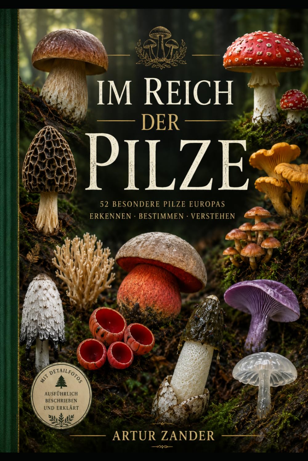 Im Reich der Pilze