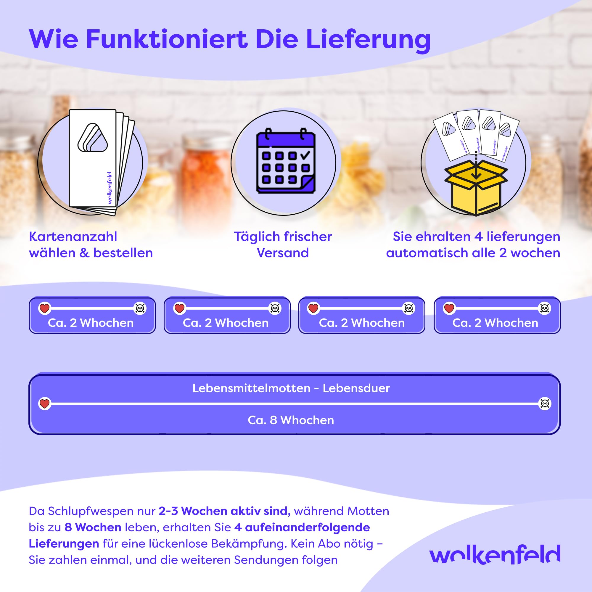 Wolkenfeld Schlupfwespen gegen Lebensmittelmotten – 32 Karten (8 Karte à 4 Lieferungen) – Effektive & Chemiefreie Mottenbekämpfung – Natürliche Alternative zu Mottenfallen, Sprays & Pheromonfallen