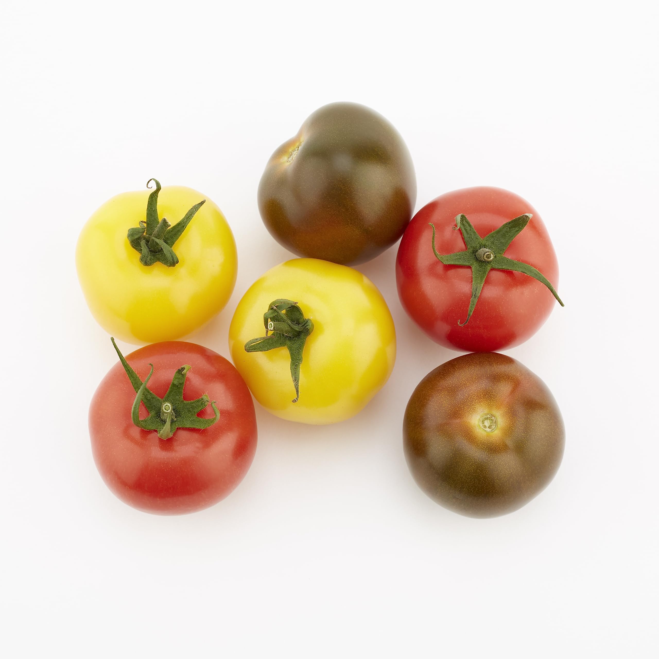 Isle of Wight Arreton Tomatoes (Pack of 6)