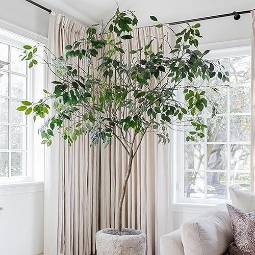 Miniatura 7 de GTIDEA 24 ramas de hojas de ficus artificiales, ramas de árbol de ficus, vegetación artificial, arreglo floral de seda para árbol Benjamina, ramo de