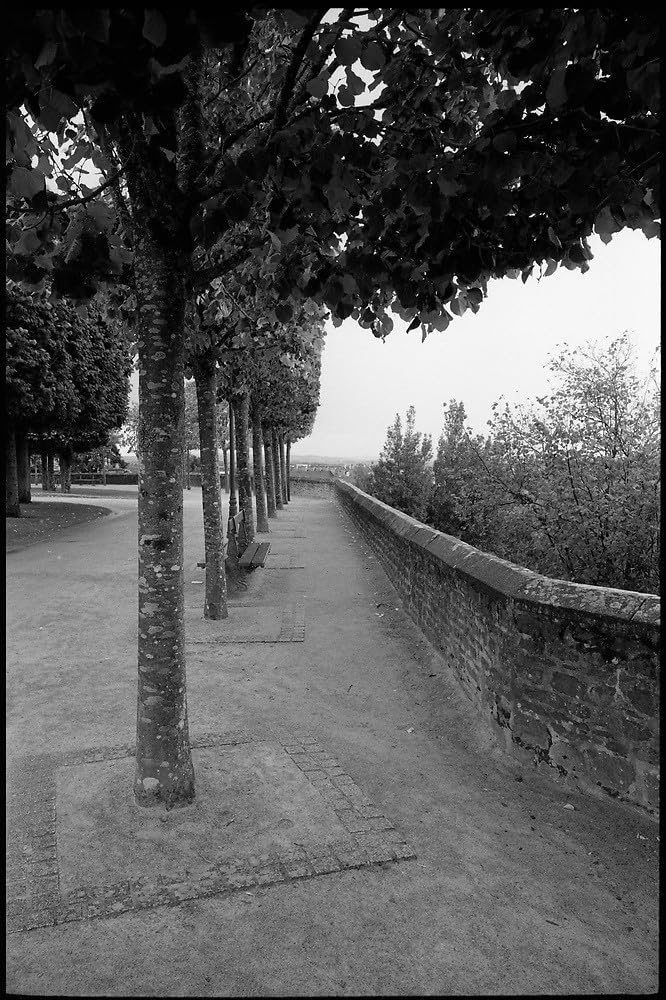 Fougères France – 30,5 x 45,7 cm – Impression giclée par Paul Cooklin