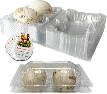 Plastic Goose Egg Cartons Cheap Bulk Empty Clear Large Duck Eggs Tray Holders Box for Farm Reusable Storage Container 20, 12