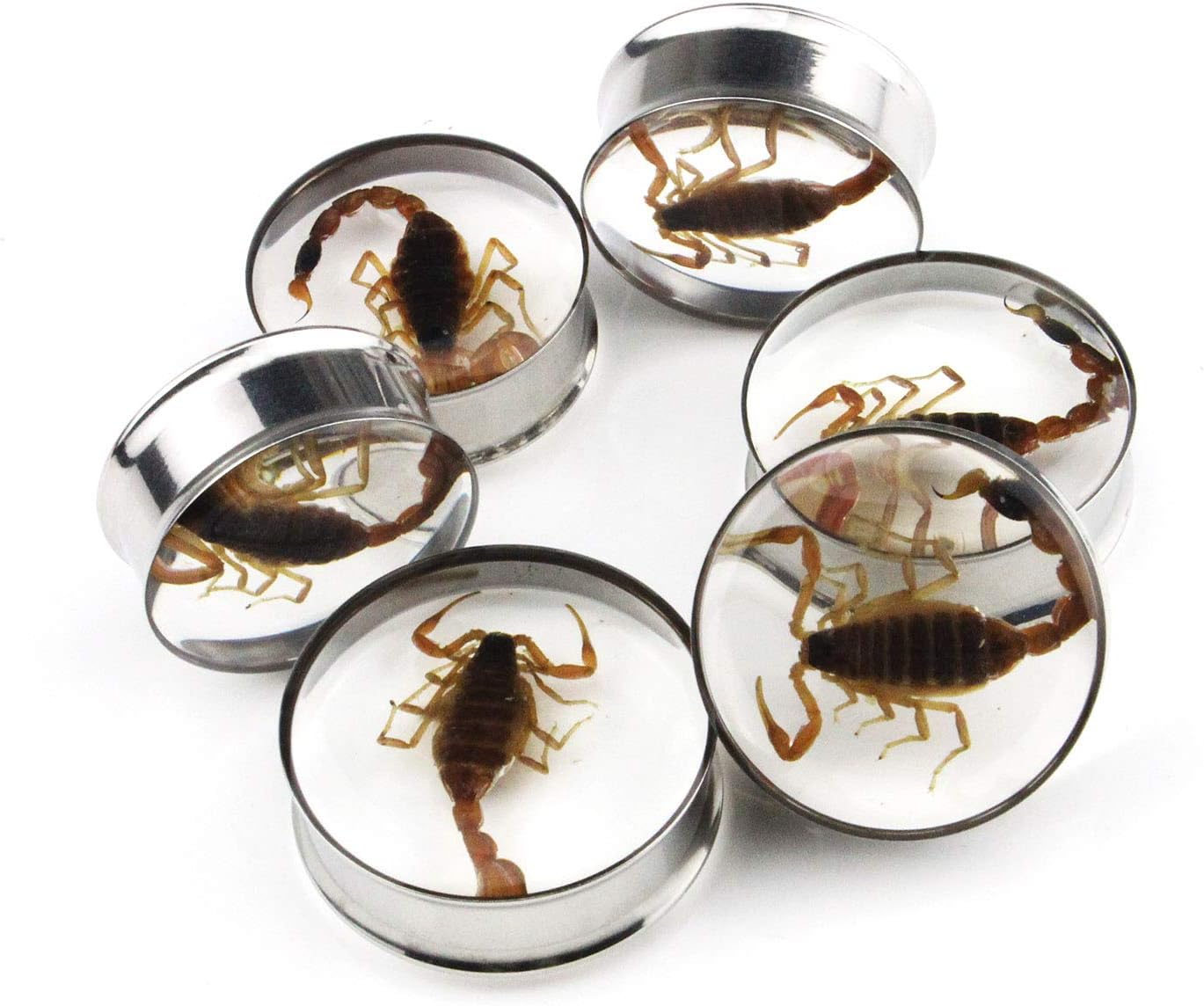 Ear Gauges Plugs Genuine Scorpion Inlay Stainless Steel Double Flare Tunnels Stretching Expander Body Piercing Jewelry 2 Pieces