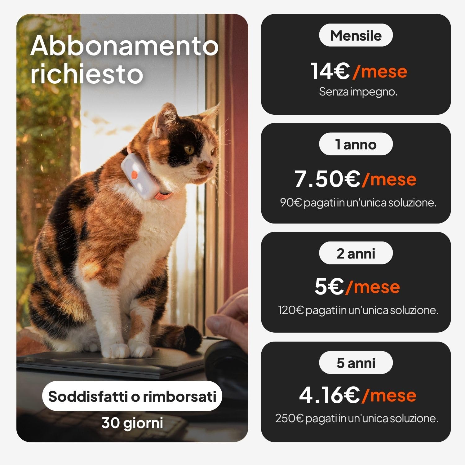 Weenect Cat XS - NUOVO collare GPS per gatti | Il più piccolo sul mercato | Funziona con abbonamento | Collare incluso | Garanzia a vita