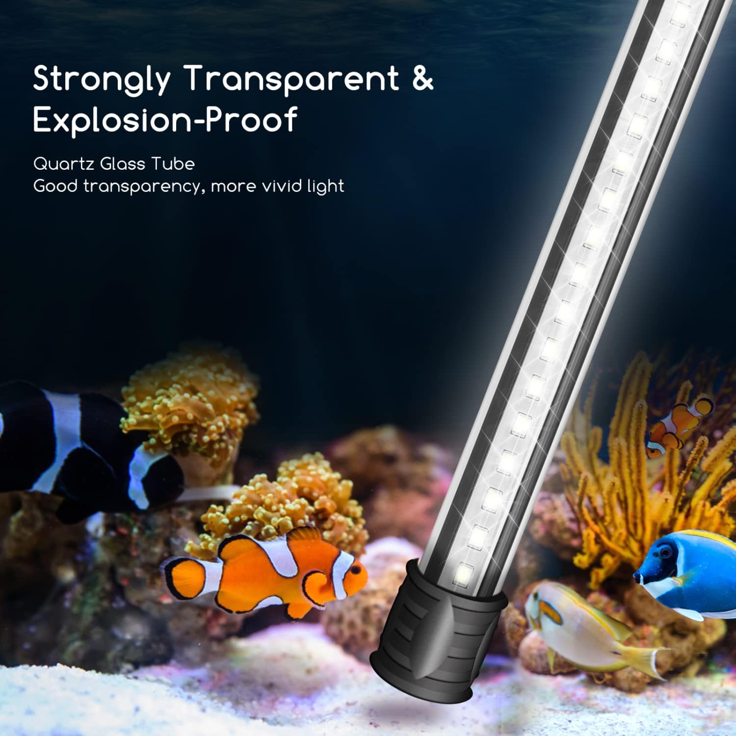 Nobleza LED Aquarium Light with transparent tube in an aquarium with fish