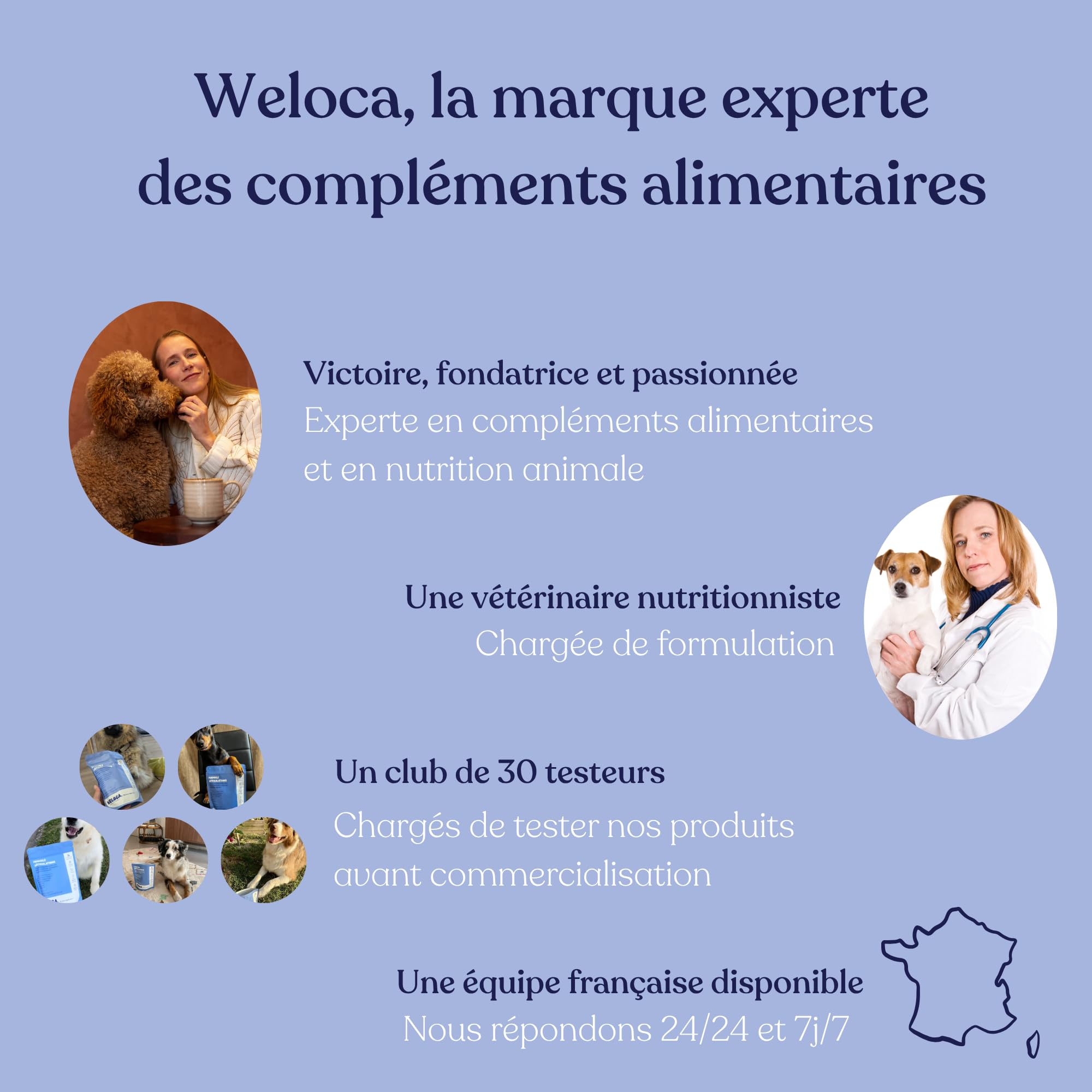 Arthrose Chien - 60 bouchées - 11 Actifs puissants (Glucosamine Chondroïtine, MSM, Moule Verte, harpagophytum) - Anti inflammatoire - Complement Alimentaire Chien - Nouveau Format