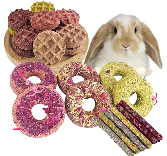 Dbeans Flourishing Rabbit Chew Toys 20PCS, Various Tastes, Rabbit Treats and Toys for Bunnies and Guinea Pigs, Promotes Dental Care and Digestion