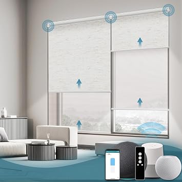 Motorized Dual Roller Shades,Smart Double Blinds Compatible with Alexa,Google Home,Homekit,Blackout and Light Filtering Shades in One Set,Day and Night Dual Blinds,Custom Size
