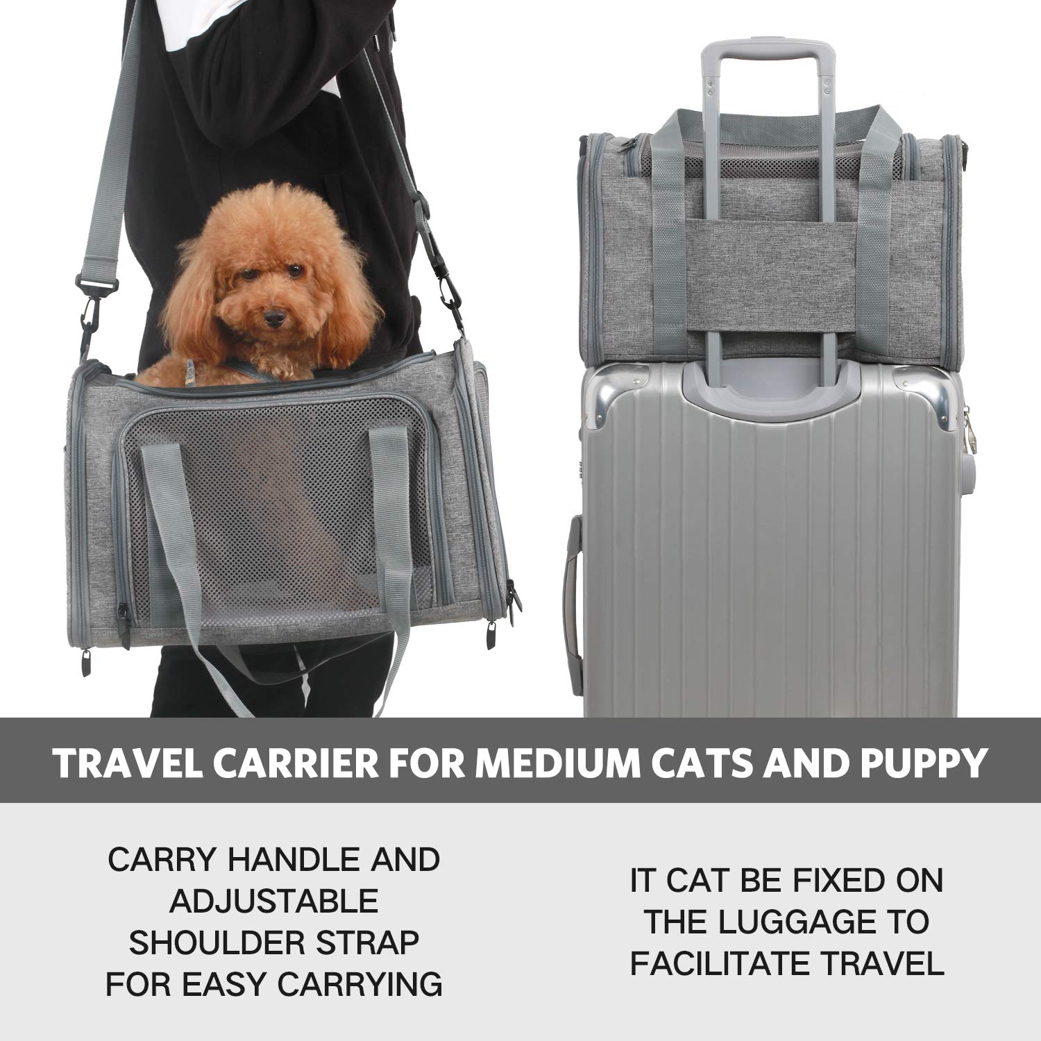 Trasportino Pieghevole Per Animali Fudajo Taglia M (60x42x44 Cm) – Tessuto Oxford, Maniglia E Tappetino In Pile