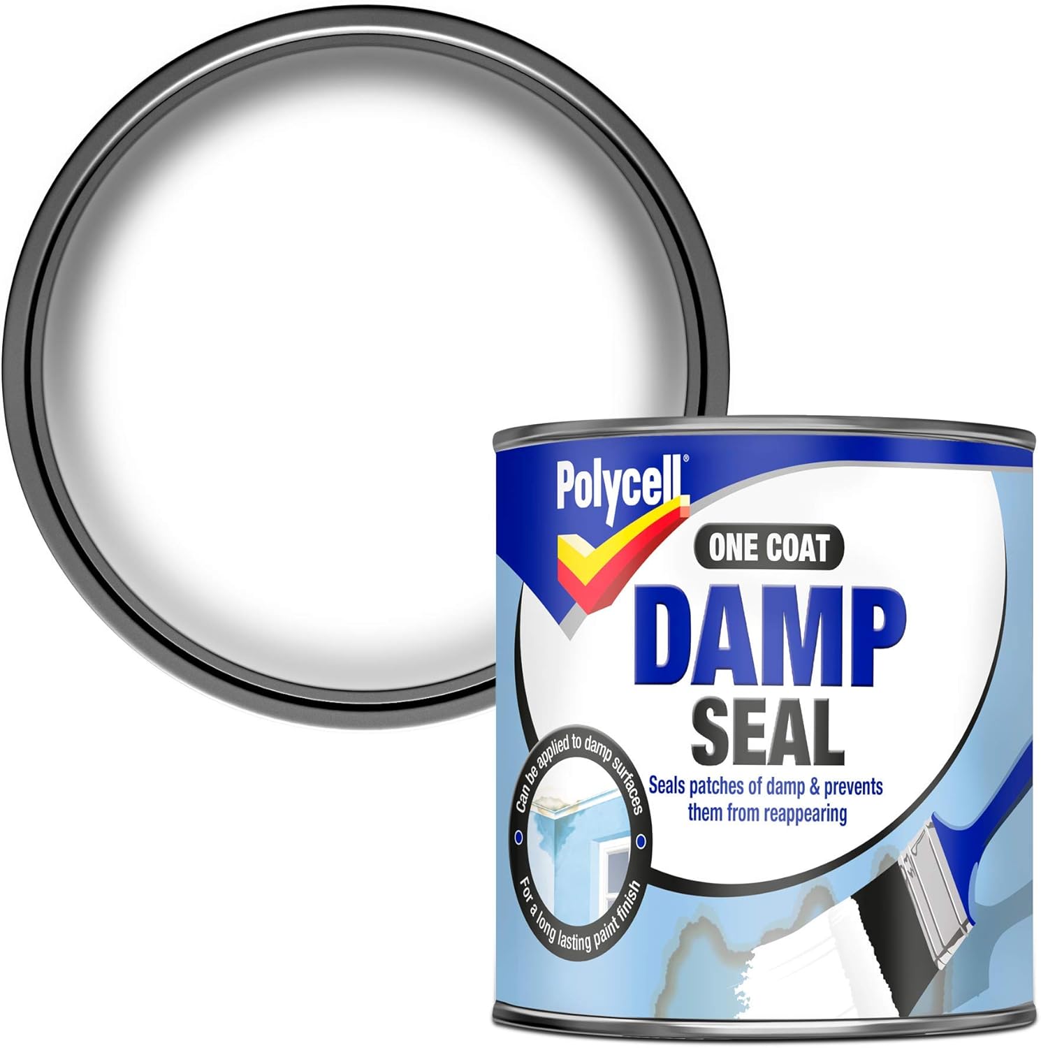 Top 6 Best Damp Seal Paint UK For Waterproofing Reviews 2022