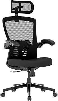 FLEXISPOT OC3-Pro Cloud Ergonomic Office Chair for Big and Tall Black, High Back Office Chair with Flip-up Arm/8-Level Lumbar Support, Foam Seat Cushion, Chairs for Home Office Working Studying Gaming
