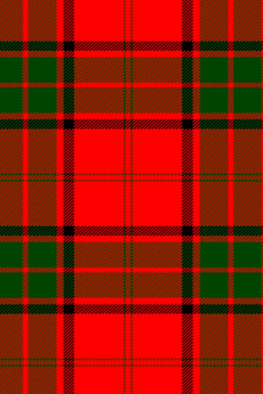Clan Adair Tartan 100 Page Lined Journal/Notebook