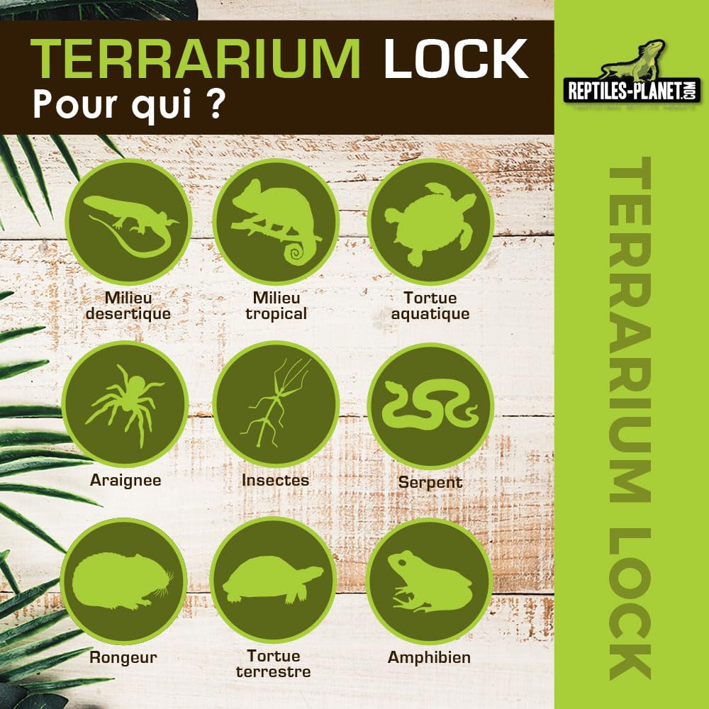 Reptiles Planet Serrure pour Terrarium