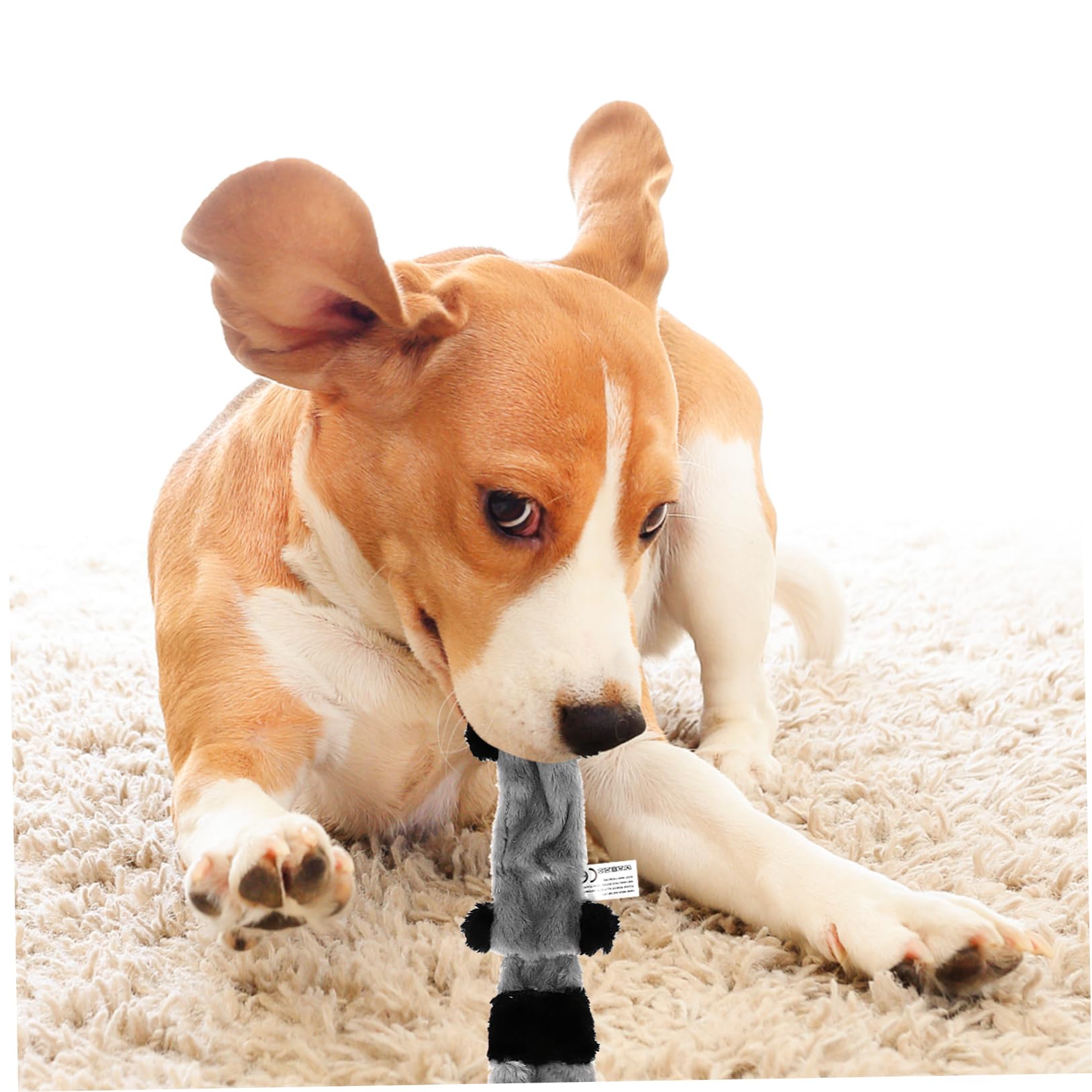INOOMP 6piezas Juguetes De Peluche para Perros Juguetes Chirriantes Duraderos para Cachorros Sin Relleno Diversión Interactiva y Saludable