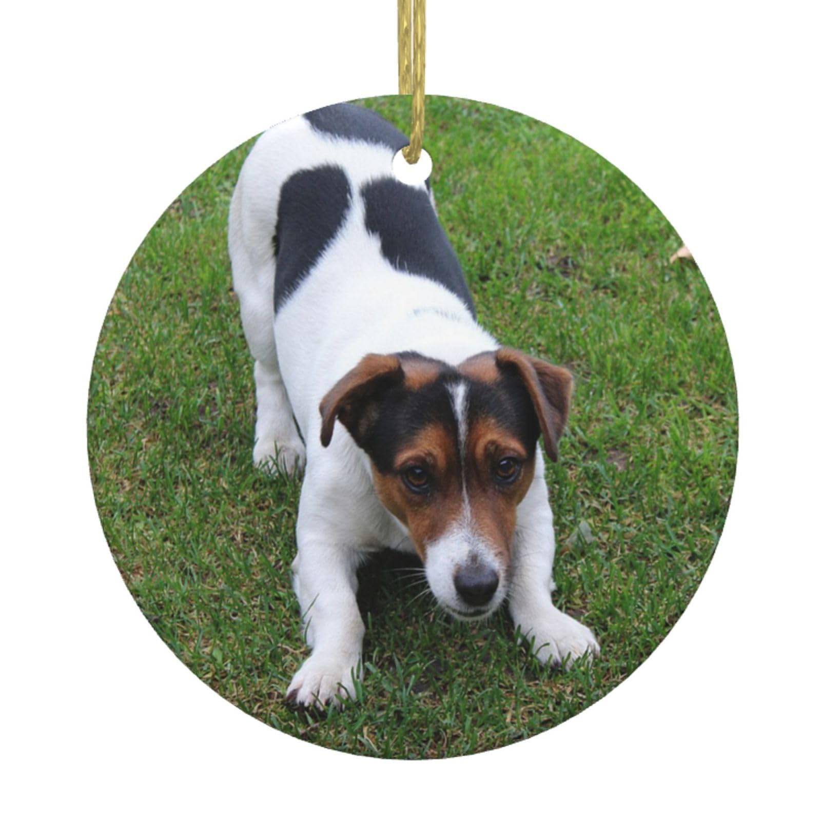Jack Russell Dog Christmas Ornaments Round Ornaments for Christmas Tree Hanging Ceramic Christmas Tree Decorations for Home Indoor Outdoor Decor