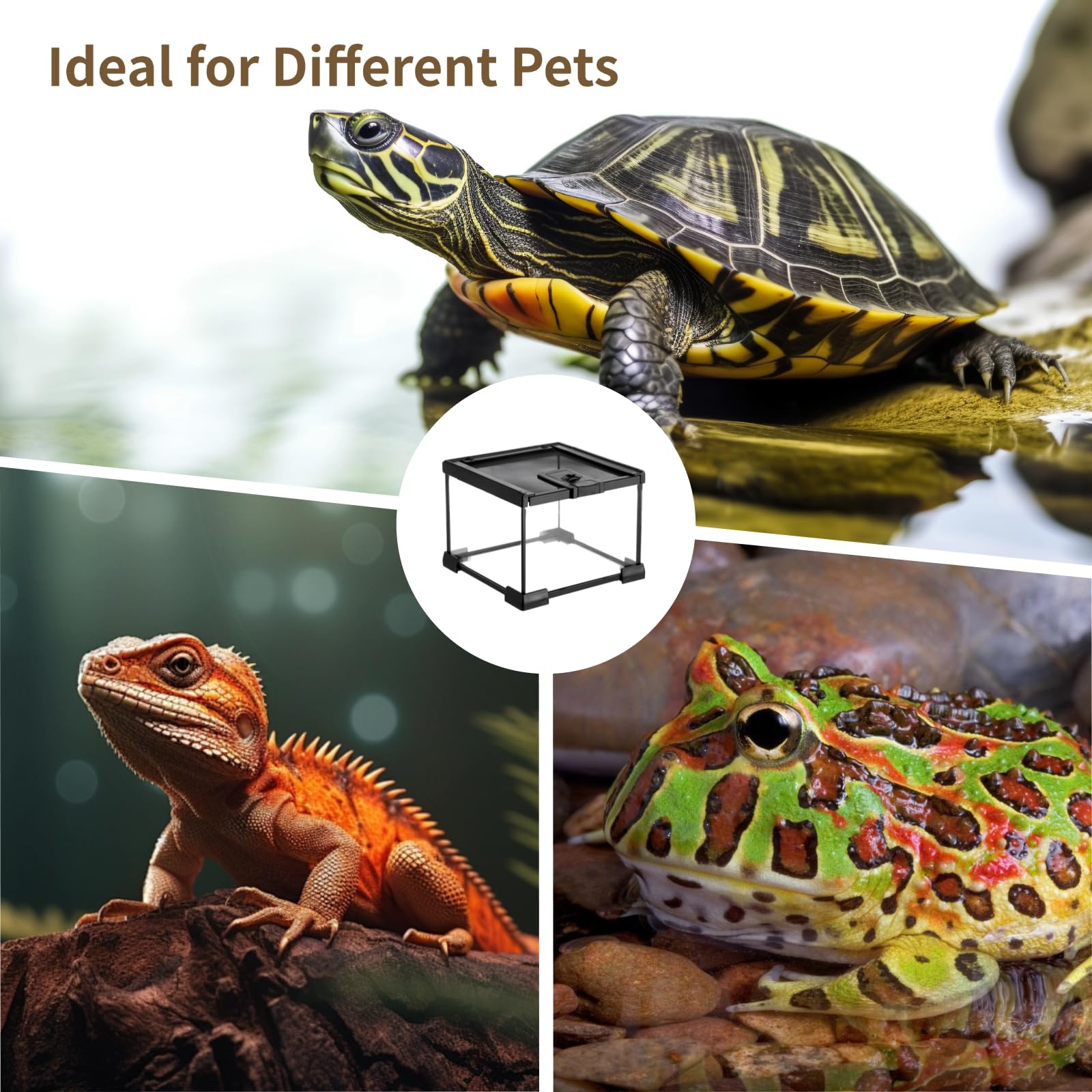 Mini-Reptilien-Glasterrarium 7,9 x 7,9 x 5,7 Zoll, Vollsicht-Regenwald-Vivarium, stapelbares Gehege für Schildkröten, Geckos, Frösche, Einsiedlerkrebse, Keine Montage erforderlich