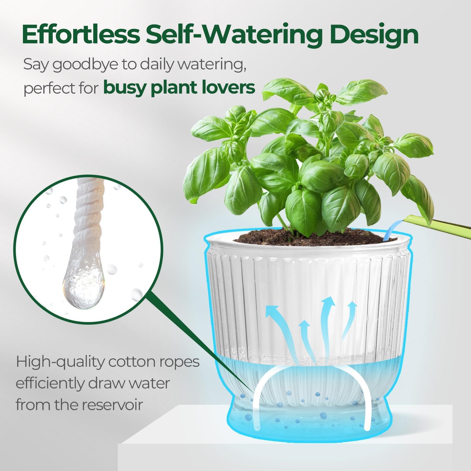 T4U Self Watering Pots for Indoor Plants 4.5 Inch 4 Pack Planter Clear image 4