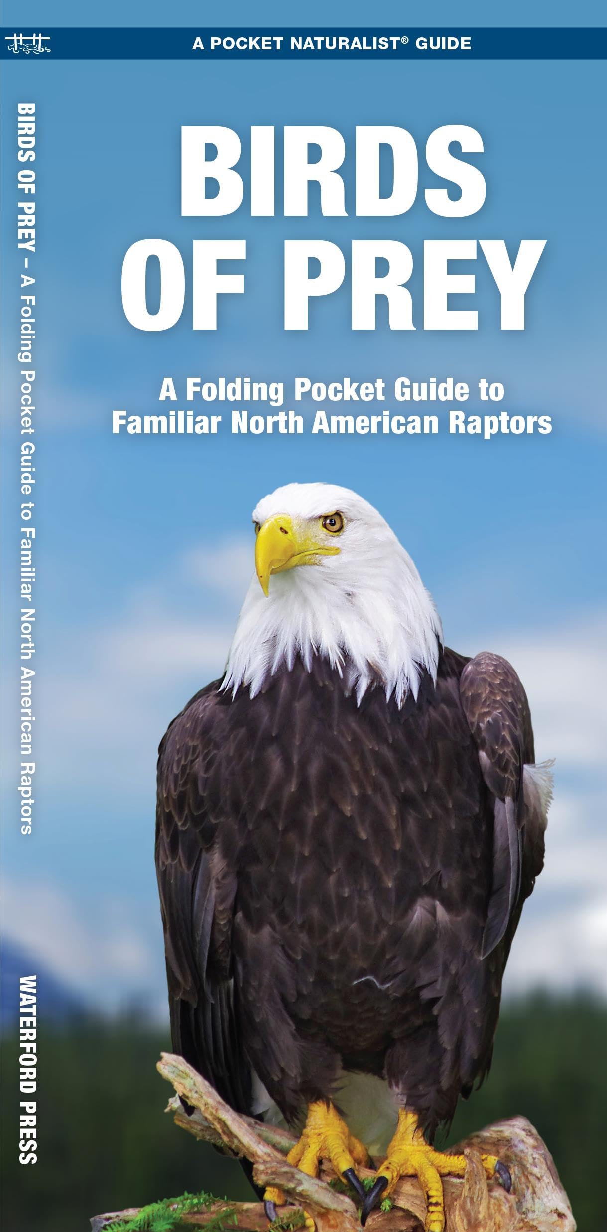 Birds of Prey: A Folding Pocket Guide to Familiar North American Raptors (Nature Observation North America)