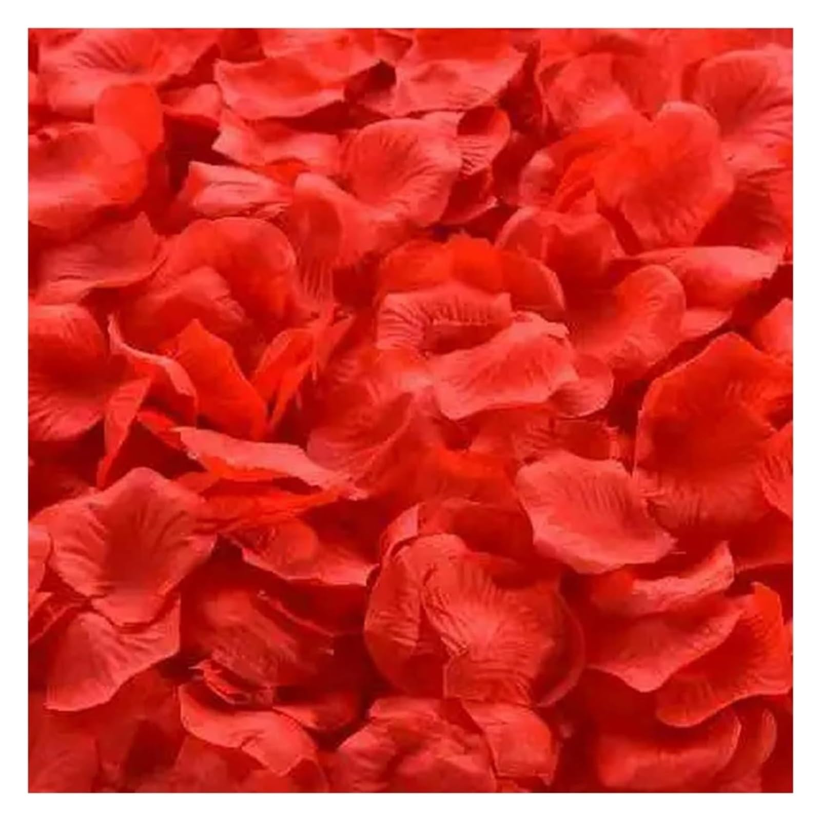 BPABDEITR Artificial Silk Rose Petals Multicolor 1000/3000 Pcs Wedding Decoration(Red,1000pcs)