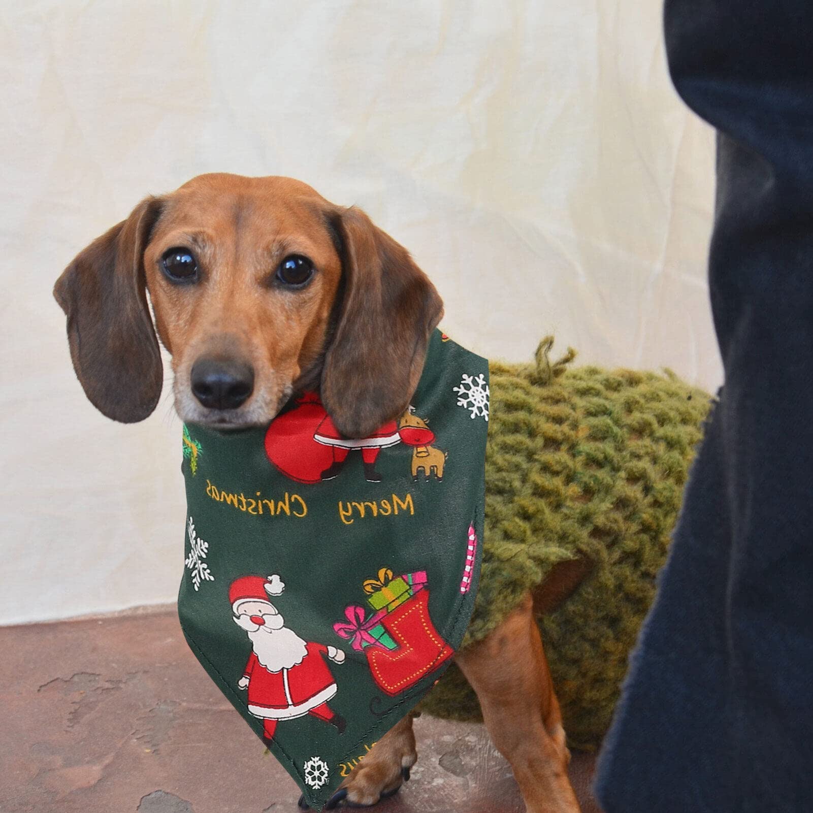 Hohopeti 3juegos Pañuelo Navideño para Perro con Diadema De Diseño Multiusos como Babero y Accesorio Festivo para Mascotas