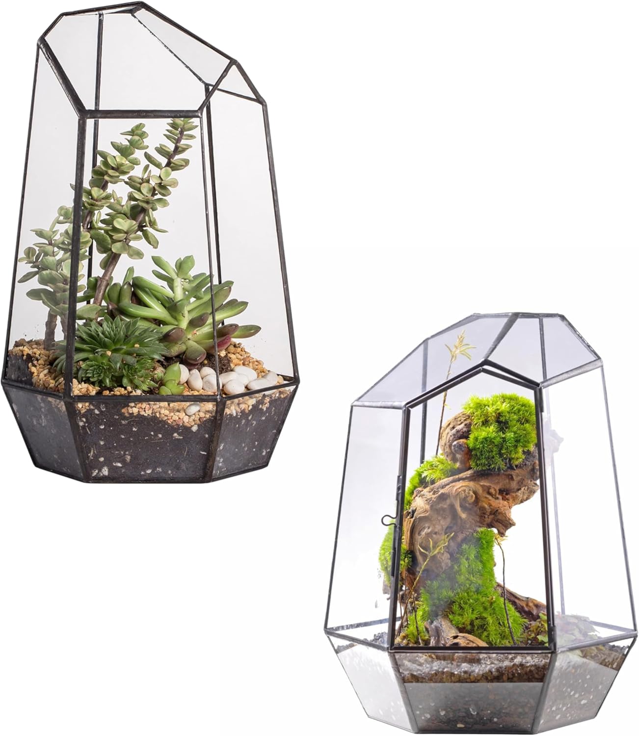 NCYP Glass Terrarium - Open Geometric Glass Terrarium, and Closed Geometric Plant Terrarium with Door, for Small Succulent Cacti, Ferns, Indoor Home Garden Office Tabletop Decor (No Plants)