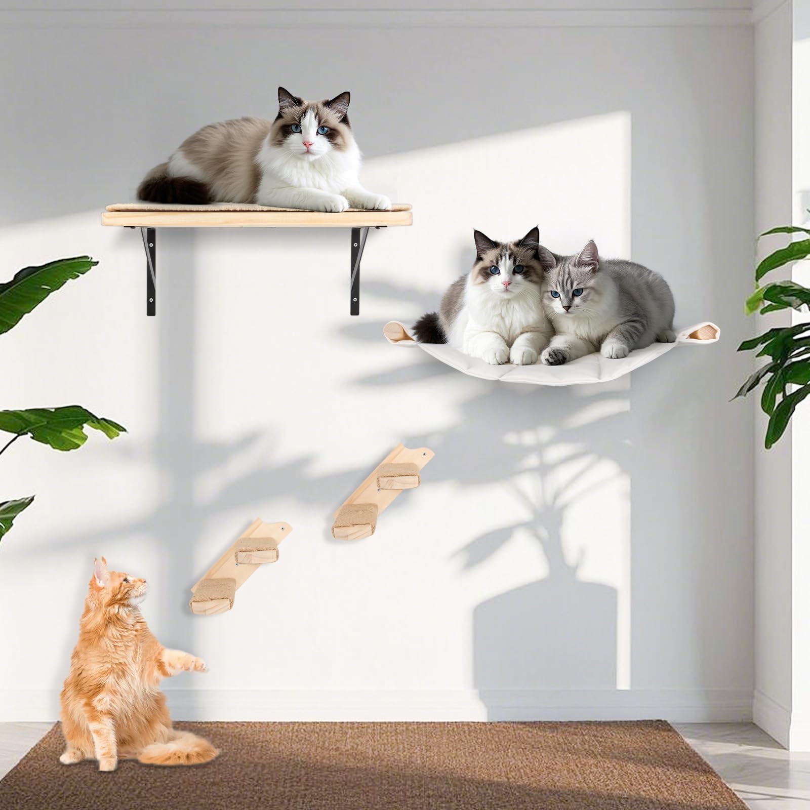 Katzen Kletterwand Set, 55cm x 46cm Katzenhängematte & Katzenwandregale & 2 Katzenleiter, 4er-Set Katzenwandparkour für Katzen, Katzen Wandelemente zum Schlafen und Ausruhen (XL, Beige)