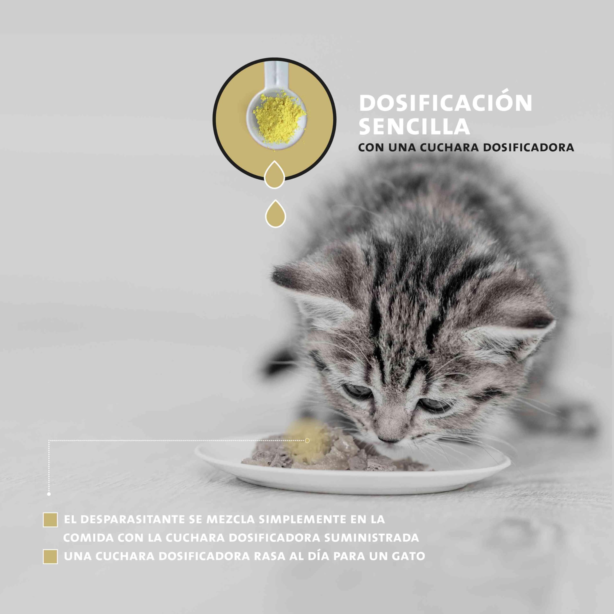 Peticare Desparasitante Antiparasitario para Gatos | Polvo de Hierbas | Remedio 100% Natural con Curcuma y Tomillo contra Gusanos Intestinales, Anquilostomas, Higiene Intestinal | petCat Health 3605