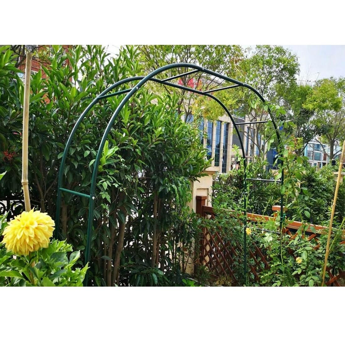Arco da giardino in acciaio per rose rampicanti, grande arco nero per viti e cetrioli, pergola decorativa per interni ed esterni, altezza: 220-250 cm, verde, L 200 cm x H 250 cm