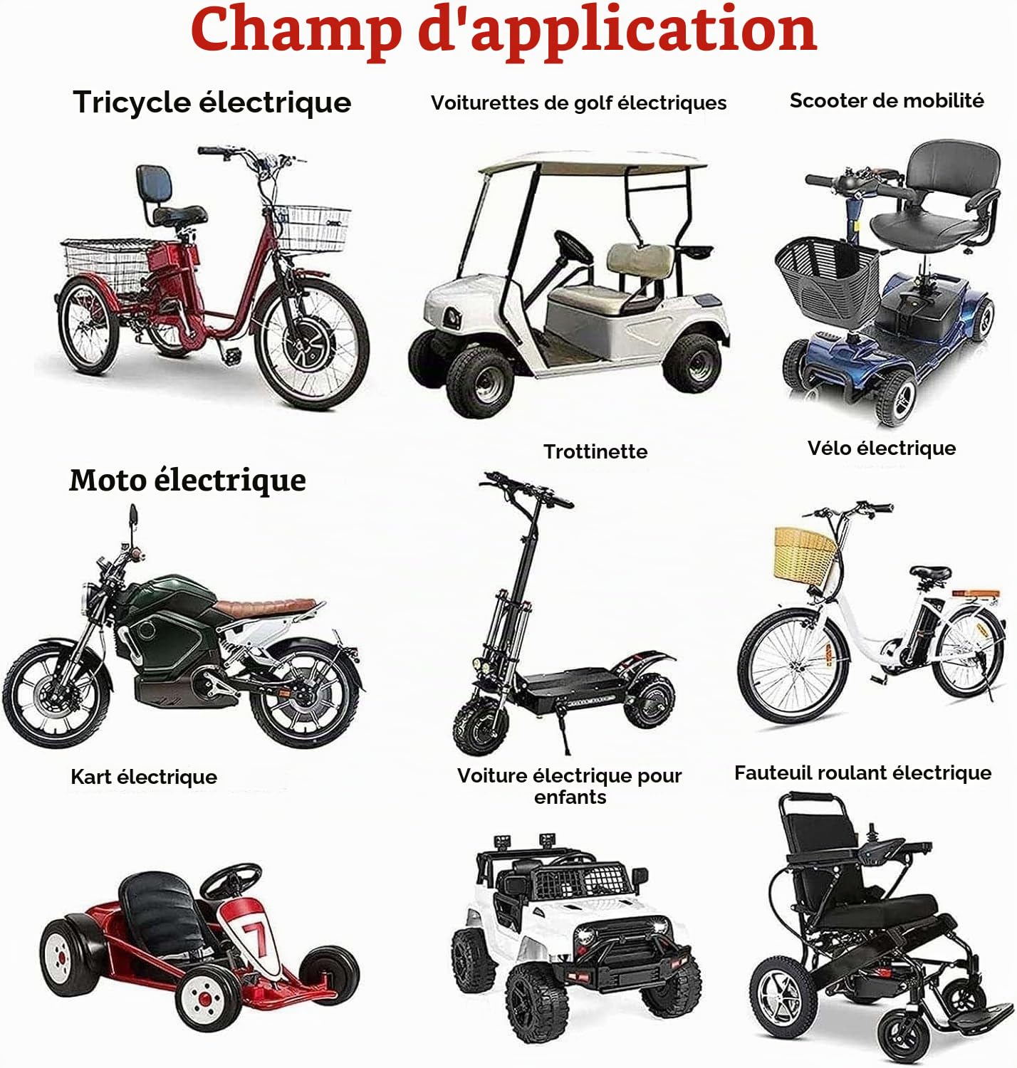 Batterie pour vélo électrique 48 V 60 Ah, Batterie Lithium pour Moteurs de vélo/Scooter électrique 1000 W, 750 W ou 500 W, avec BMS intégré et Chargeur 54,6 V 2 A.