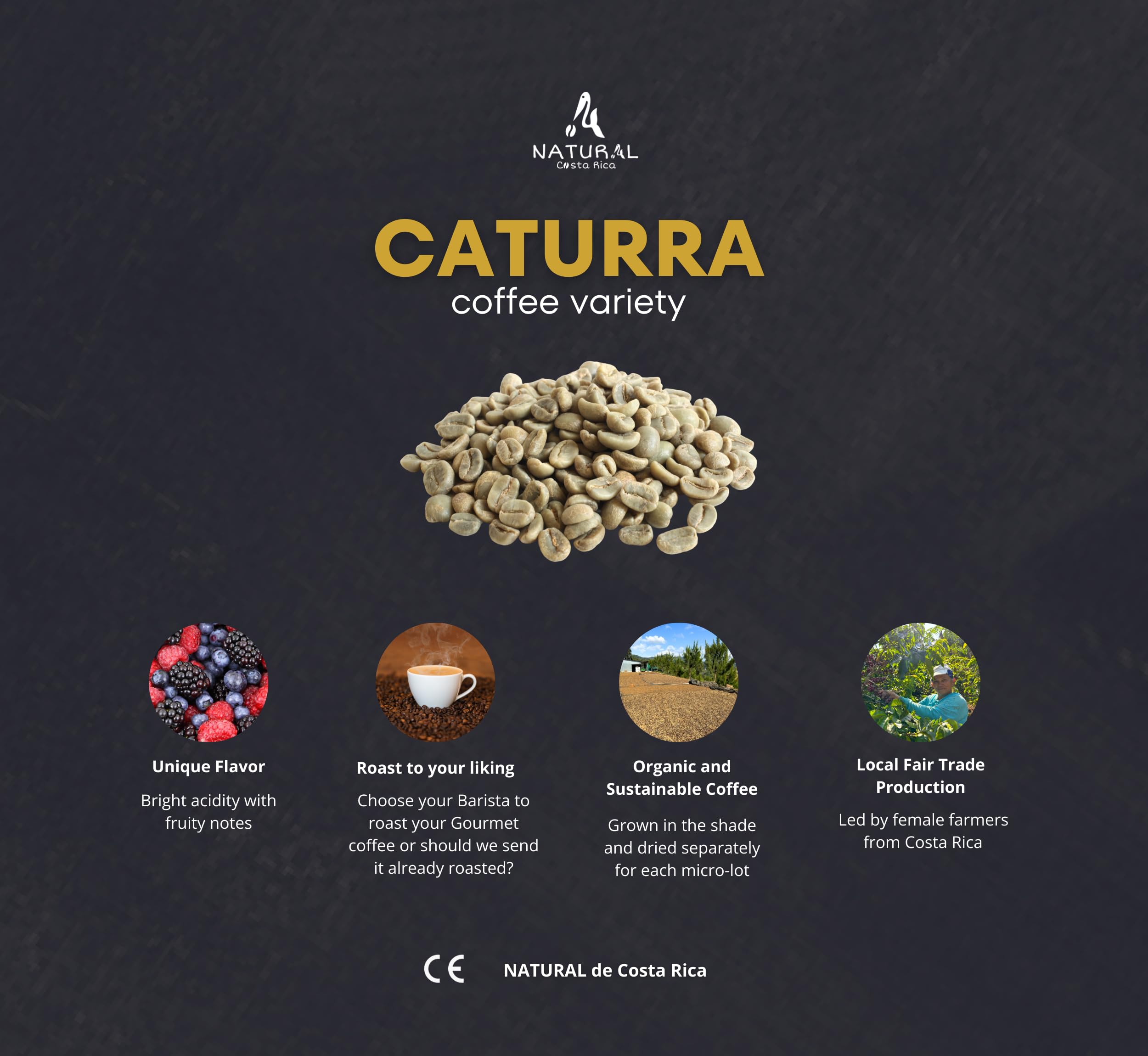 NATURAL de Costa Rica | 1kg | CAFÉ en Grains Naturel Premium Non Torréfié| Café Grains de Spécialité 100% Arabica Gourmet Variété CATURRA| Coffret Cadeau | Café Naturel Origine Costa Rica
