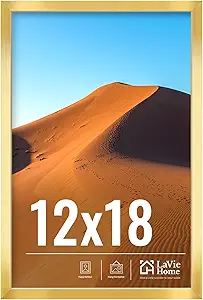 LaVie Home 12x18 Picture Frame for Wall Display, 12x18 Gold Picture Frame with HD Plexiglas, 12 x 18 Matted Frame 1 Pack, Display Frame for Vertical or Horizontal, Classic Collection