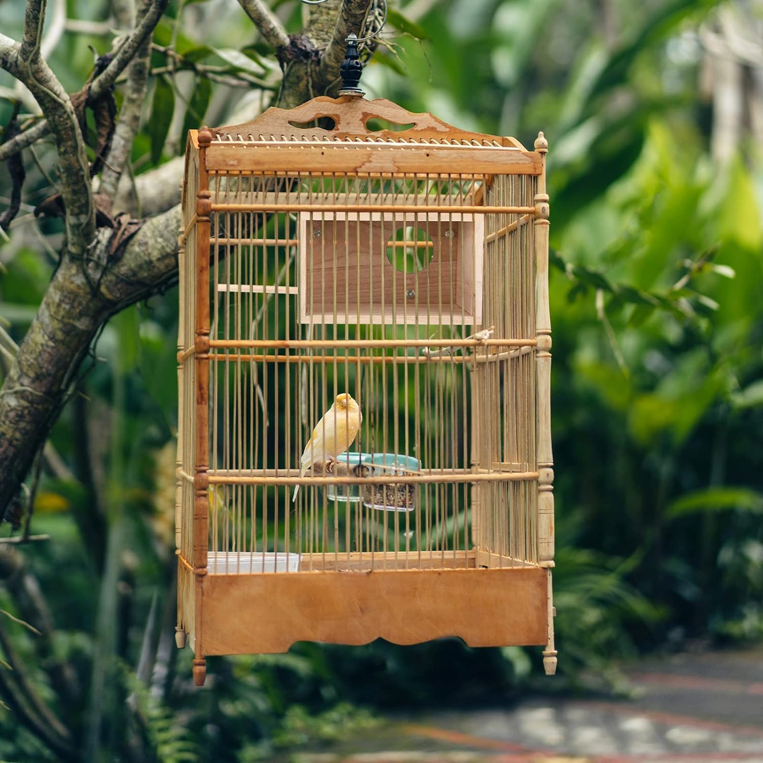 LATRAT Budka lęgowa dla papug Przezroczysty design, domek dla ptaków z naturalnego drewna Małe gniazdo ptasie, drewniana klatka dla papug, gniazdo lęgowe dla papug gatunku Lovebirds i Ellensittich