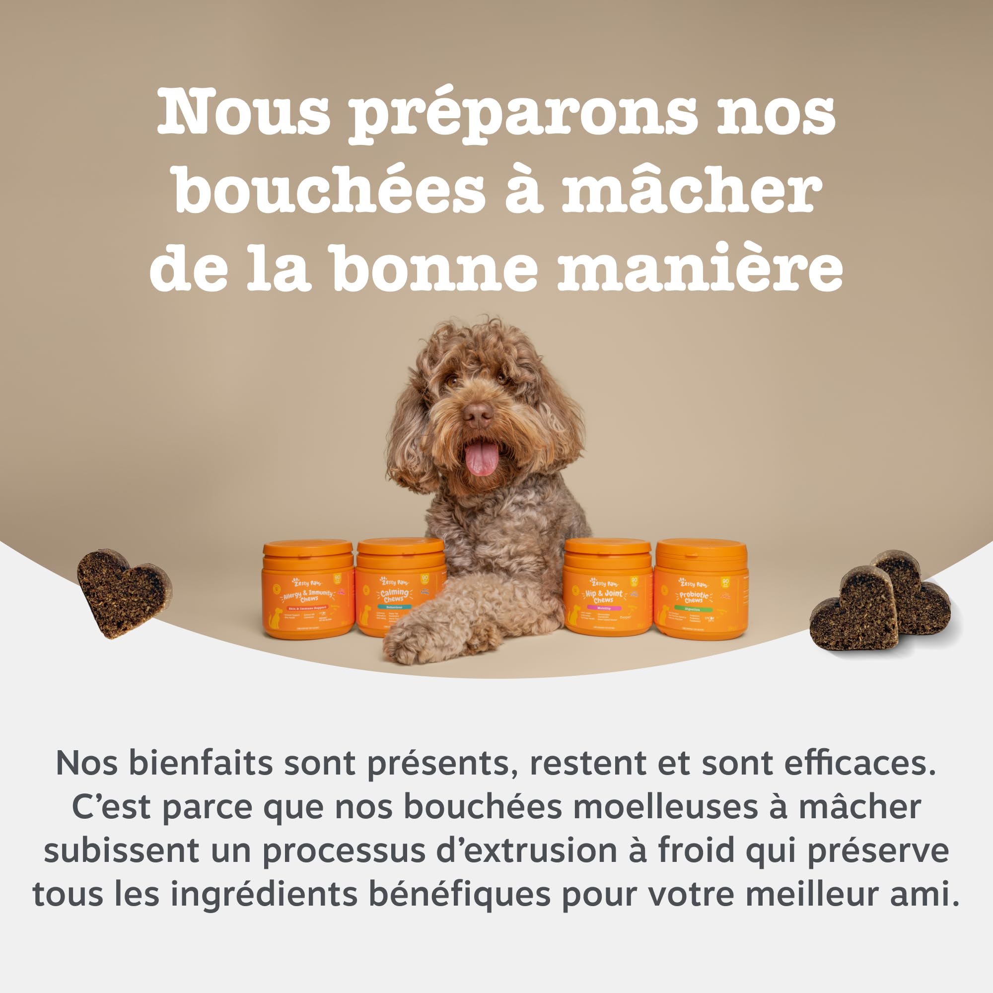 Zesty Paws Santé Peau et Pelage pour Chiens | Soutien Peau Saine et Pelage Brillant | Compléments pour Chiens sous Forme de Bouchée Gourmande | Aliments Complémentaires| Huile de Poisson - 90 unités