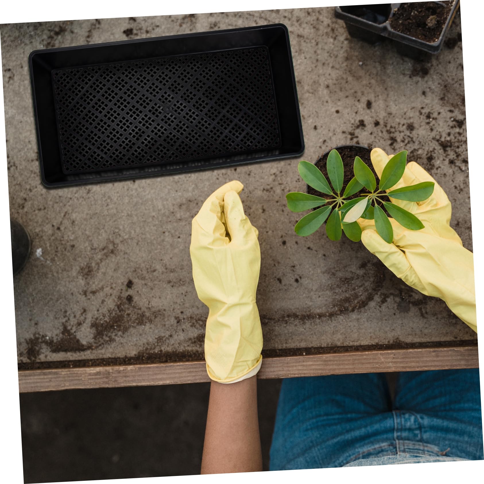 VANZACK 6pièces Plateau de Germination à Fond Creux Lot pour Pépinière et Semis Conteneurs de Plantation Socle de Germination