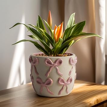 Ceramic Flower Pots for Indoor and Outdoor Plants, Succulent Orchid Round Clay and Terracotta Planter for Garden Home Modern Decoration 5.3 Inch Pink Bow, Without Saucers