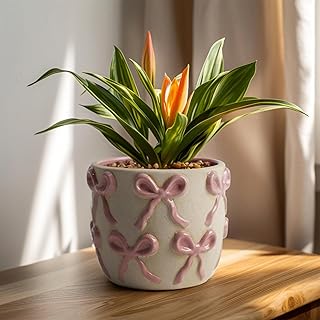 Ceramic Flower Pots for Indoor and Outdoor Plants, Succulent Orchid Roun...