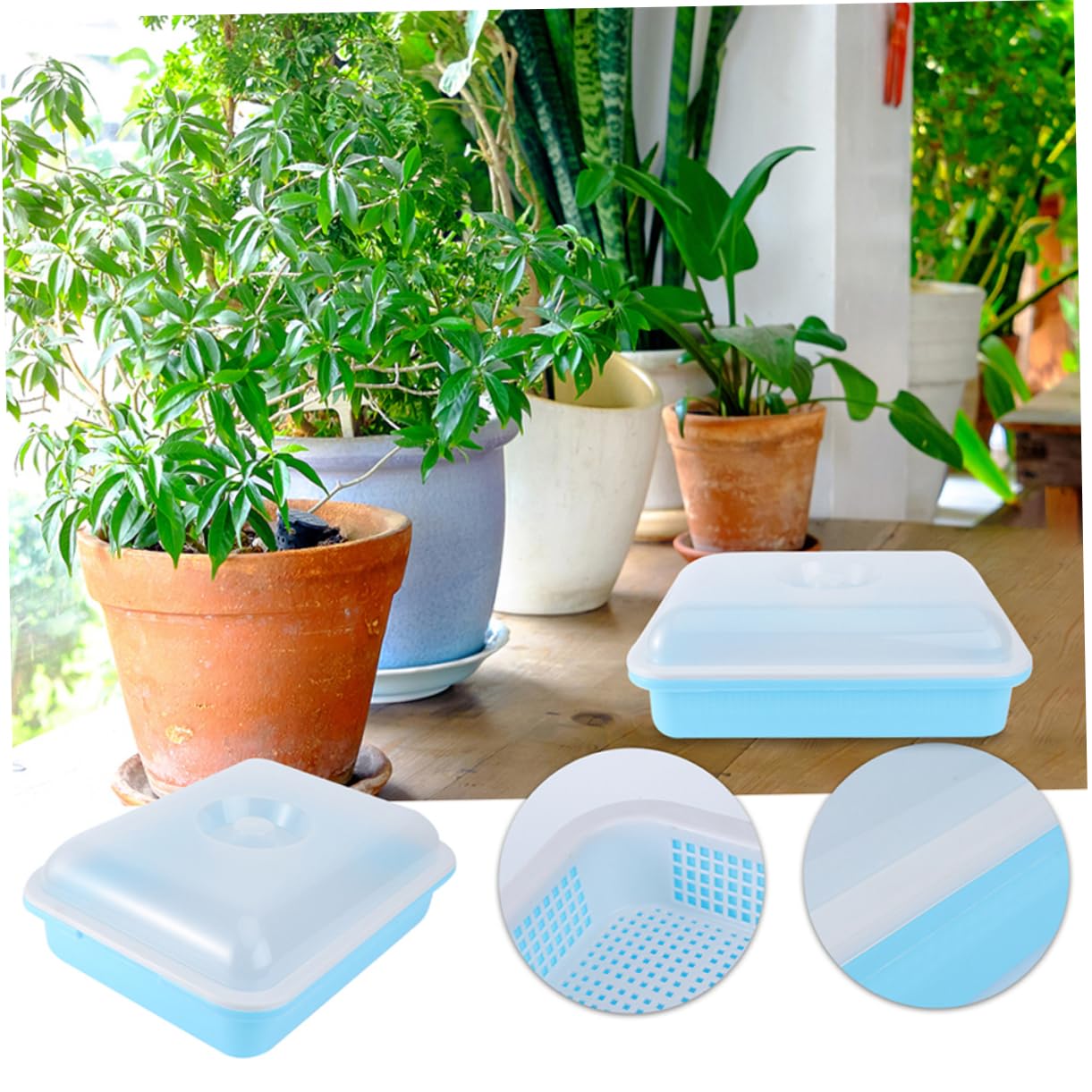 Toddmomy 2 Sätze Garten Anzuchtschalen mit Deckel Teiliges für Pflanzenkeimung und Anzucht Stabile und Langlebige Trays für Wachstumsbedingungen Geeignet für Gemüse und Kräuter Blau
