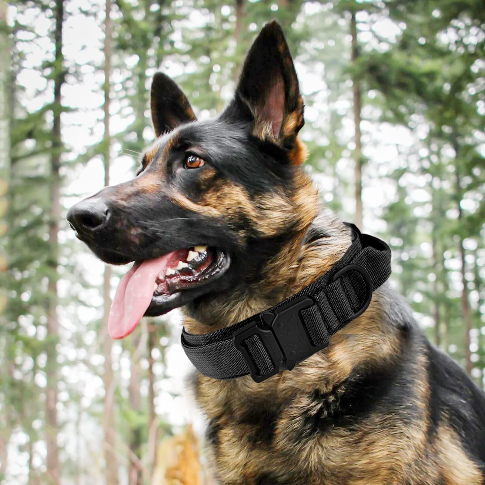 Galaxy Taktisches Hundehalsband – Robust, Verstellbar Mit Griff Für Training & Outdoor, Schwarz XL